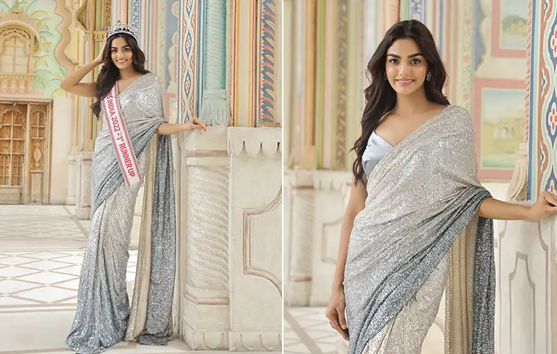 Pastel Net Saree with Embroidery