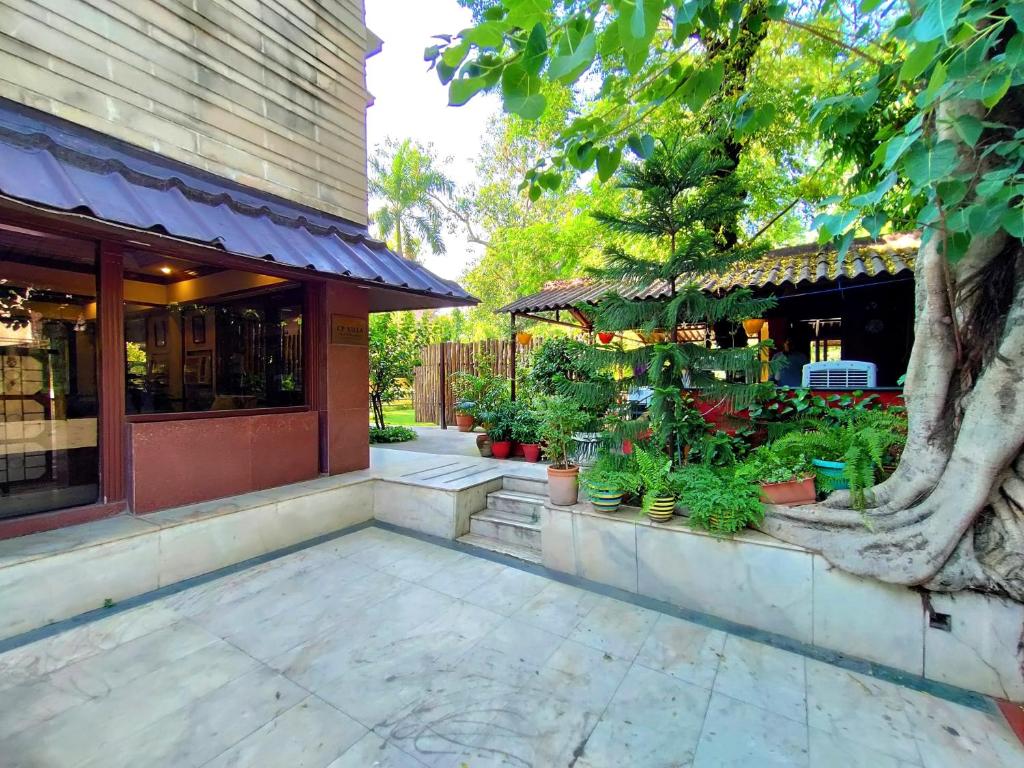 Farm stays in Gole Market, Delhi
