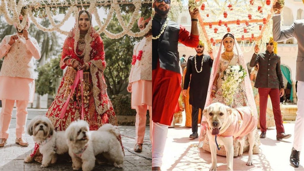 Bridal Entry with Pets-Sloshout