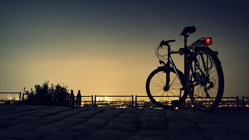 Take a Nighttime Cycling Tour