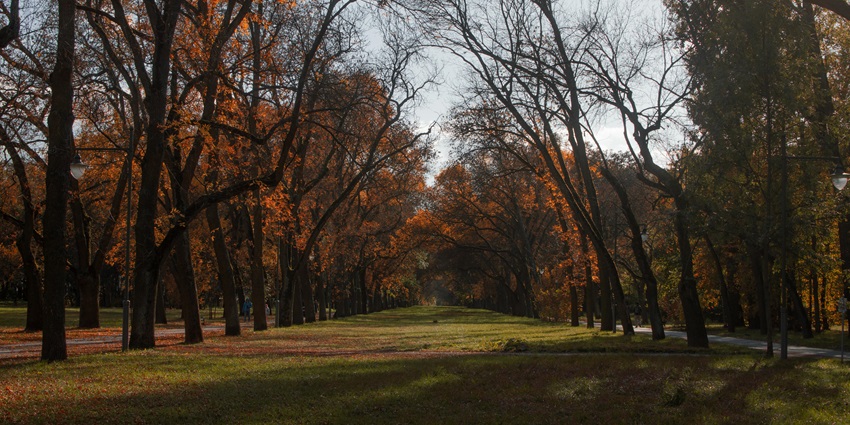 Bhondsi Nature Park and Surroundings