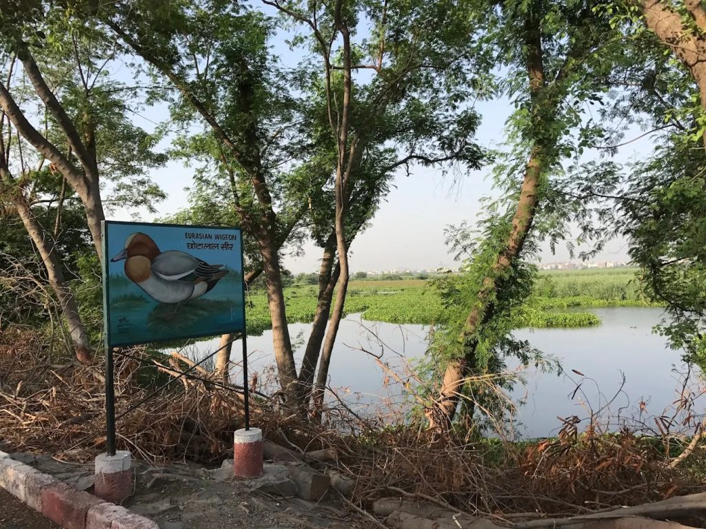 Okhla Bird Sanctuary
