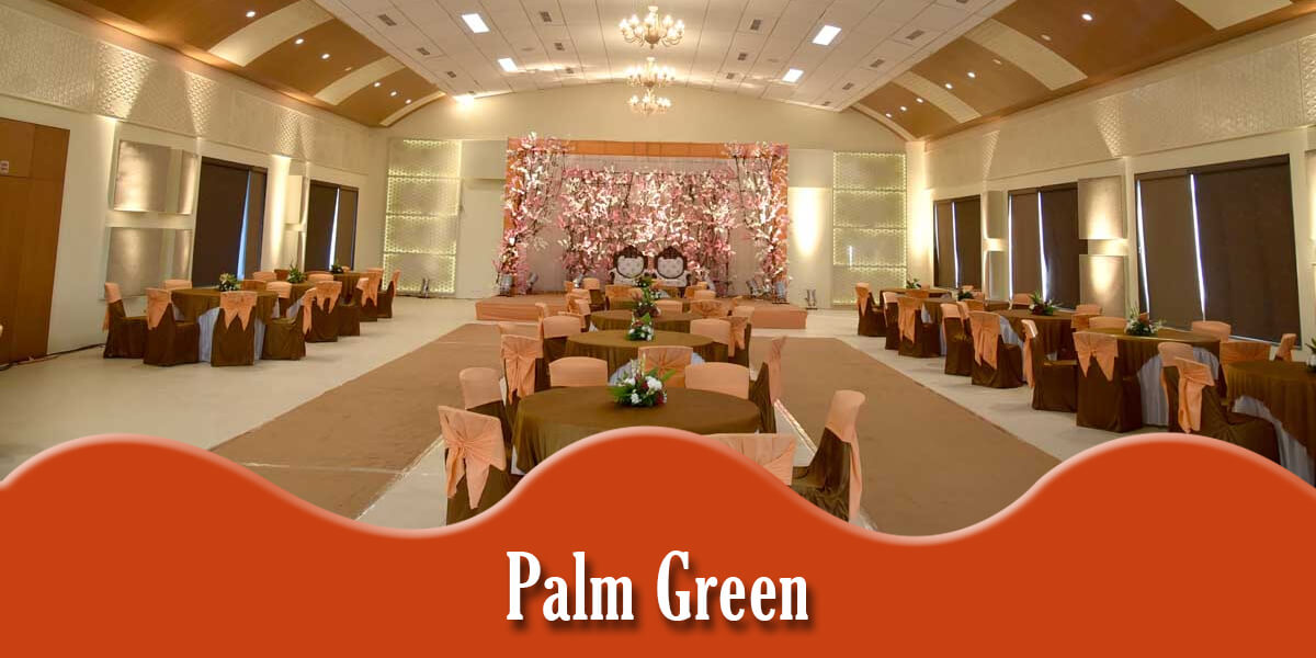 Palm Green