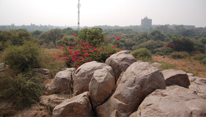  Parthasarathy Rock 