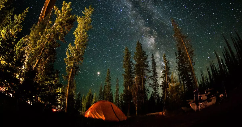 Go Stargazing at Bannerghatta