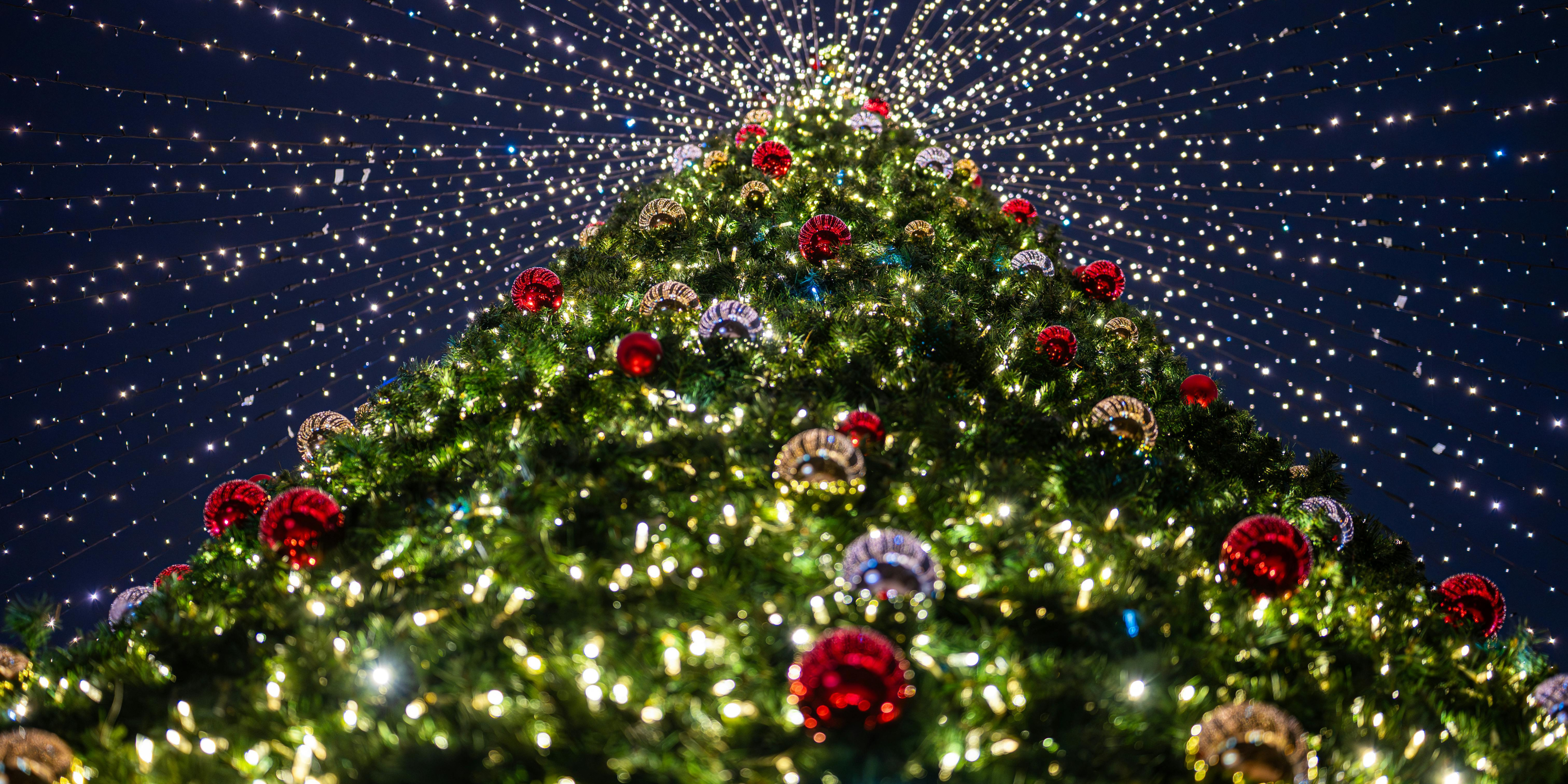 Event Decorators in Delhi for Christmas Parties, NYE Galas &amp; Winter Functions