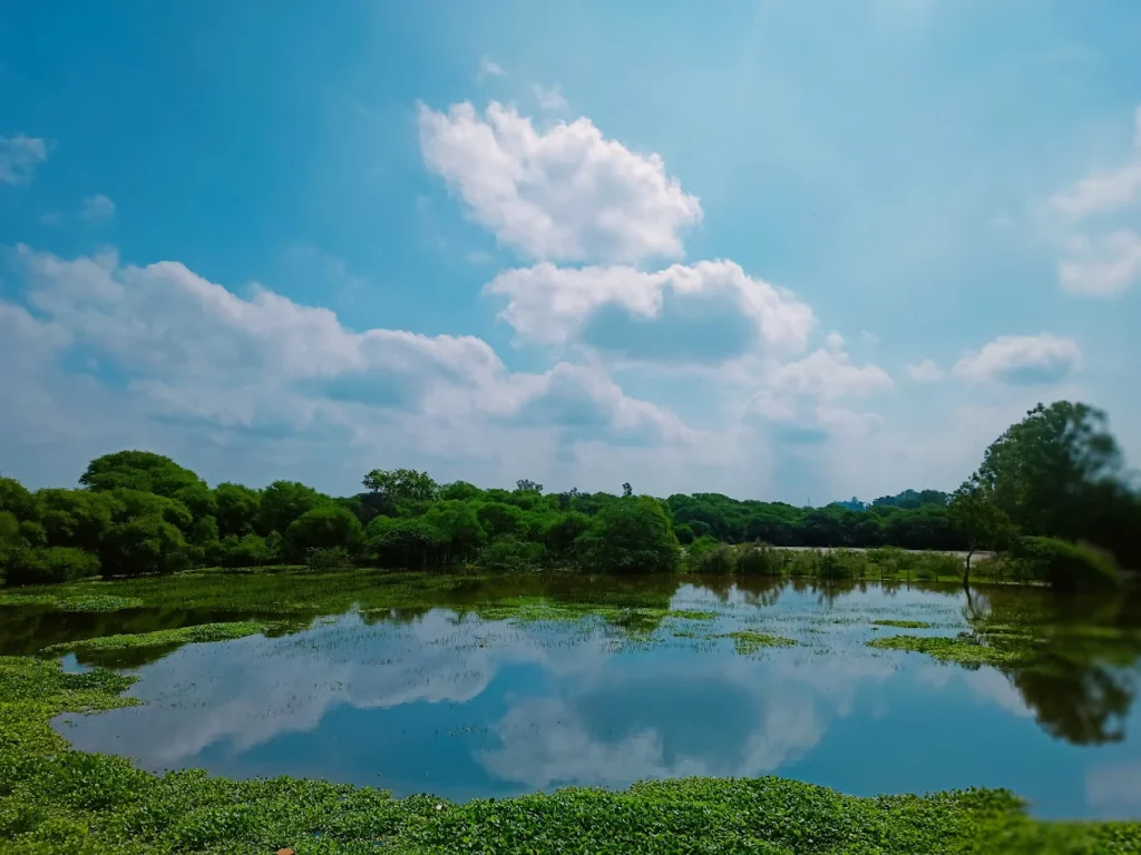 Yamuna Biodiversity Park