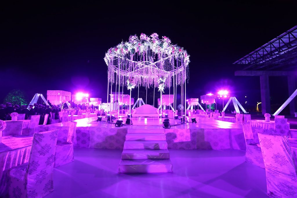 The Purple Lotus