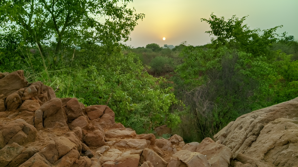 Aravali Biodiversity Park