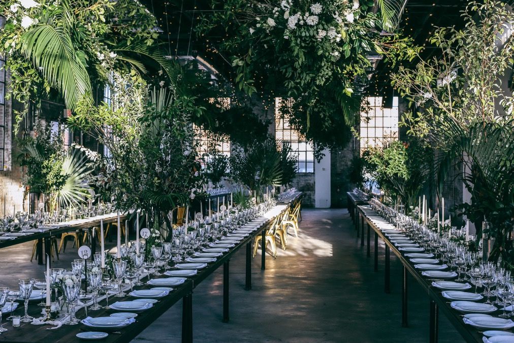 Greenery & Foliage Decor