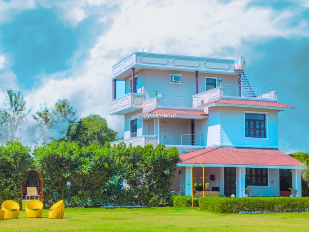 Golden Vibe Farm: Ultimate Party Potential