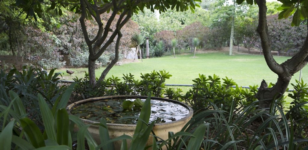 Peepal Kothi farmhouse for stay in
