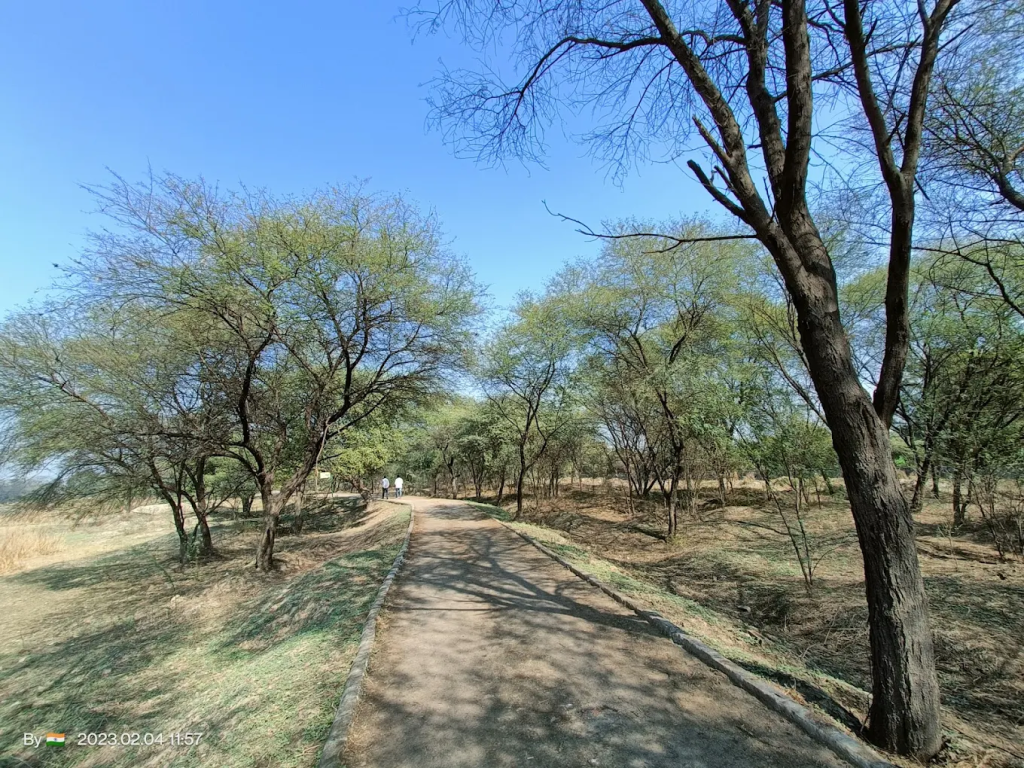 Sultanpur National Park